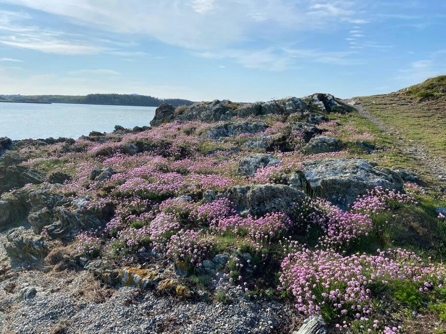 Entire Guest Suite In Four Mile Bridge, Rhoscolyn バレー エクステリア 写真